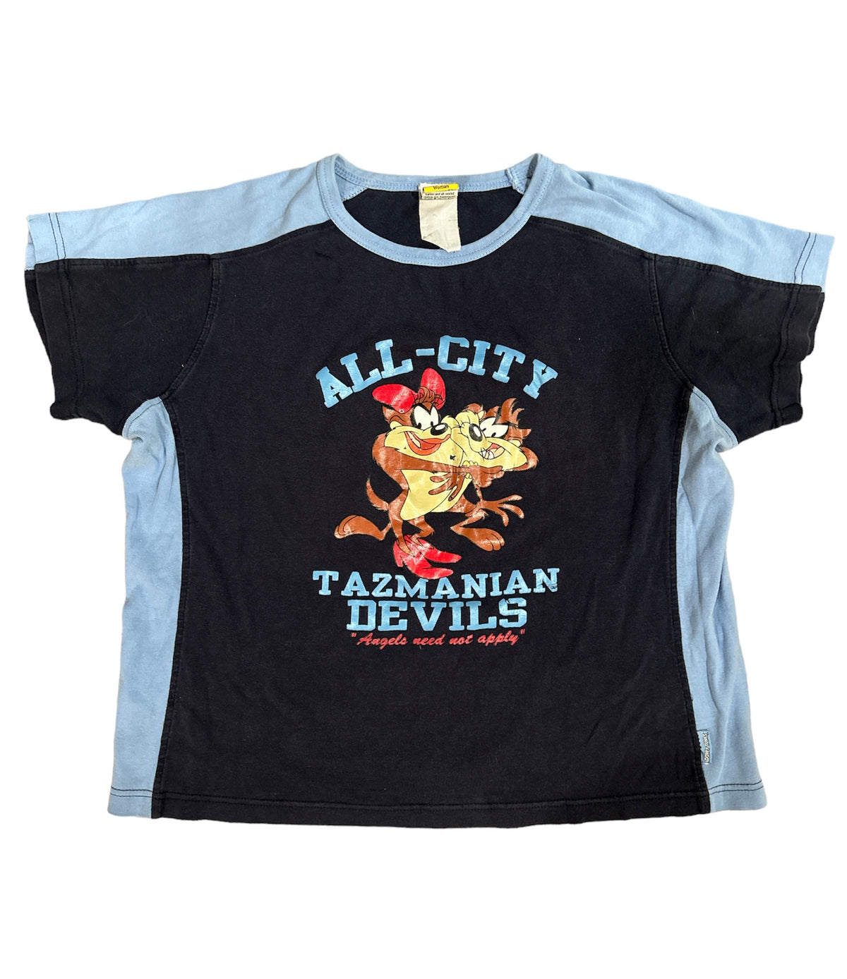 Vintage 1990s Looney Tunes Taz All City Tee